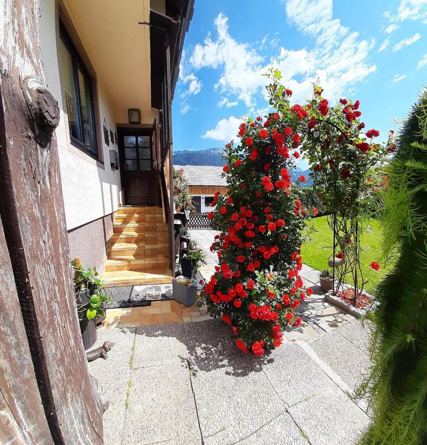 Appartment Luki Haus im Ennstal Exterior foto