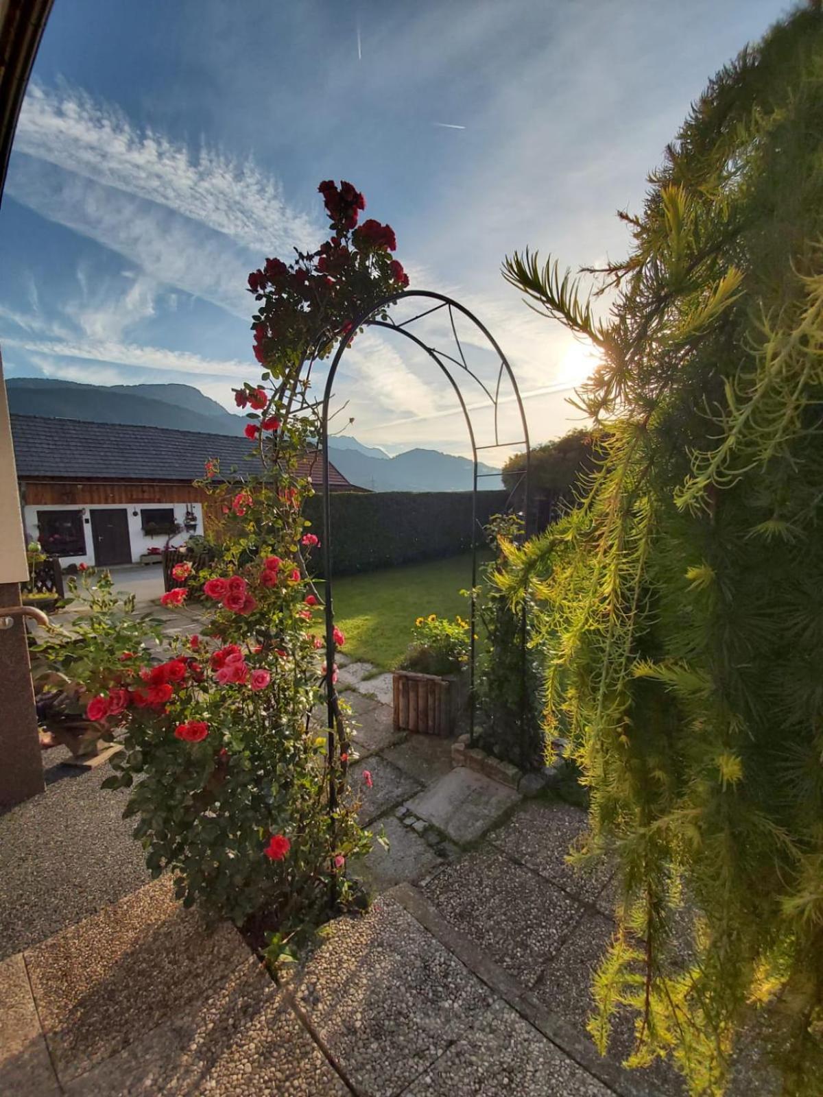 Appartment Luki Haus im Ennstal Exterior foto